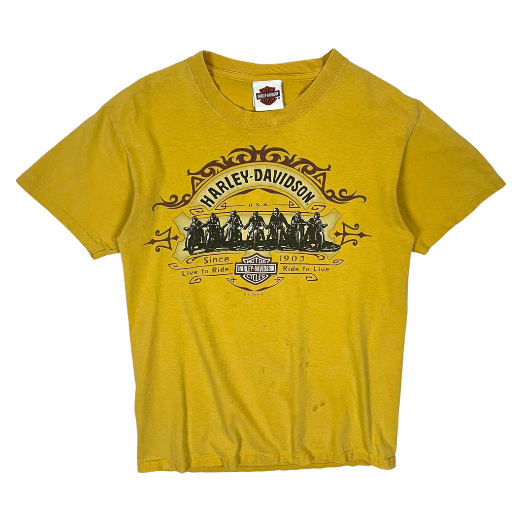 2004 Harley-Davidson Painter's Tee - Size M