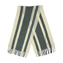 Load image into Gallery viewer, Christian Dior Striped Scarf - O/S
