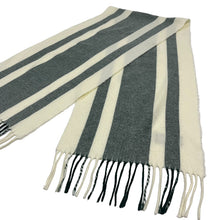 Load image into Gallery viewer, Christian Dior Striped Scarf - O/S
