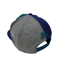 Load image into Gallery viewer, Charlotte Hornets Starter Hat - Adjustable
