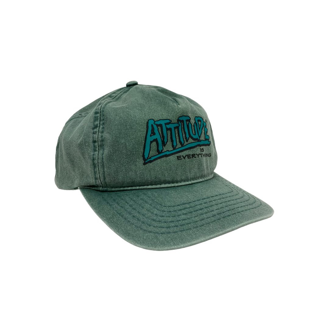 Attitude Is Everything Hat - Adjustable