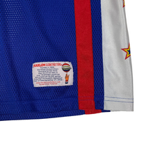 Load image into Gallery viewer, Harlem Globetrotters #21 Jersey - Size XL
