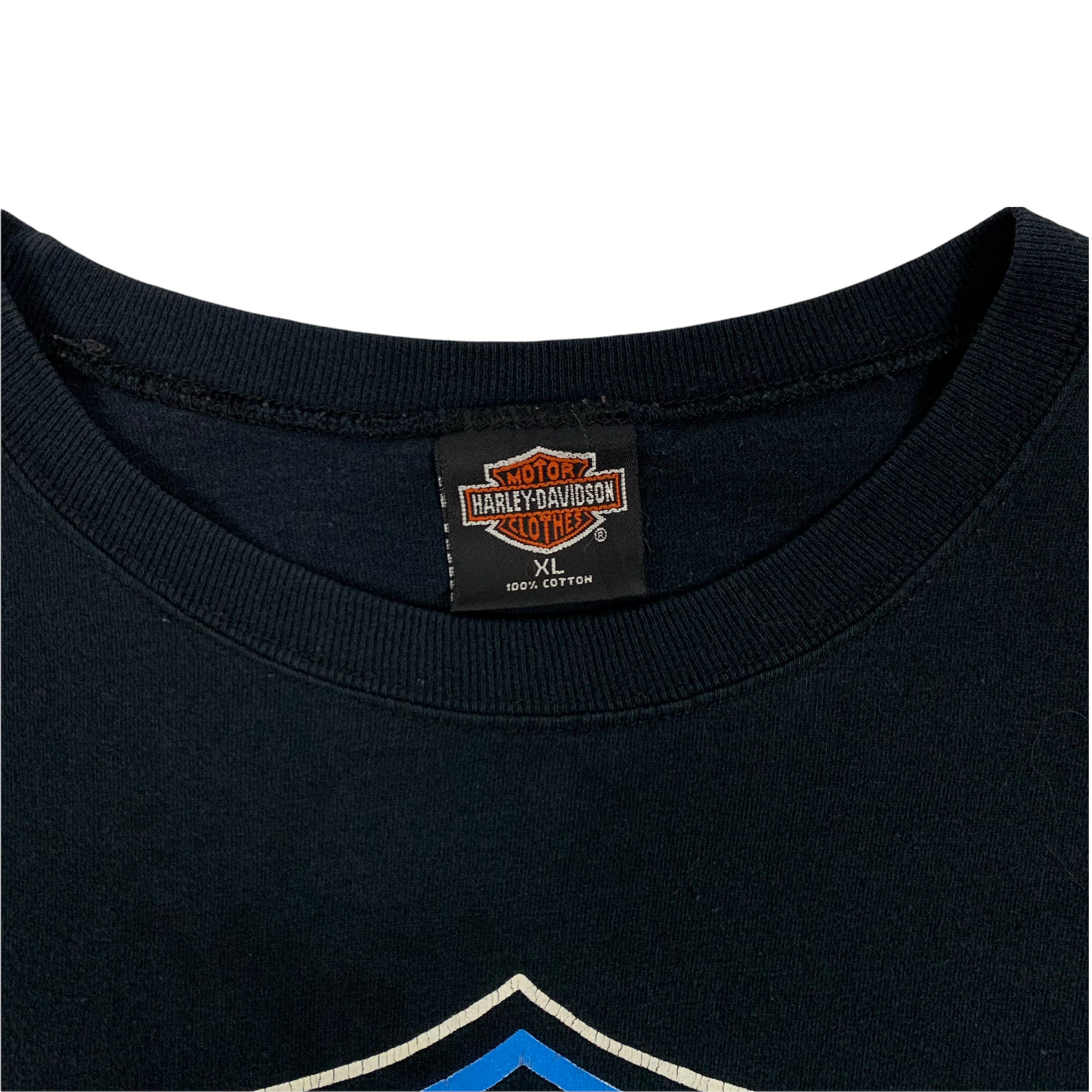 トップス Skull49 HARLEY DAVIDSON BLUE FLAME トップス Skull49 HARLEY DAVIDSON BLUE FLAME Vintage 2004 Harley